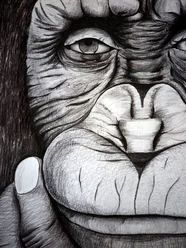 Chimpancé en lápiz y bolígrafo negro-02_CJ
