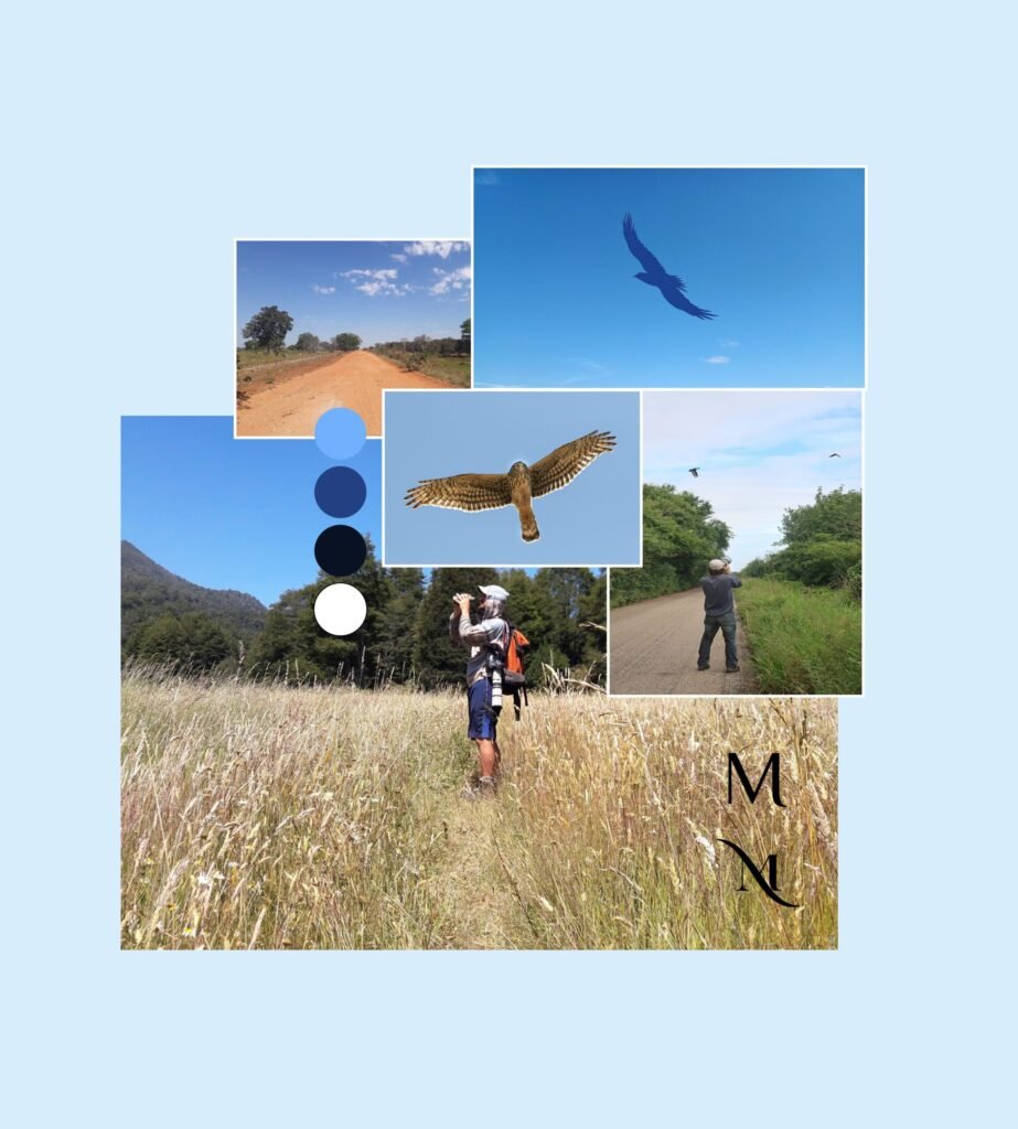 Moodboard-03_CJ